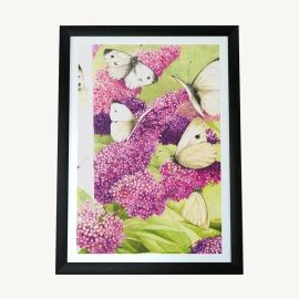 Butterfly Garden 8x10 Wrapped Canvas